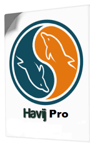 Havij Pro 1.17 Crack + Serial Key Free Download [Latest 2022]
