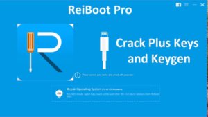 Tenorshare ReiBoot Pro 10.6.9 Crack + Registration Code [2022]