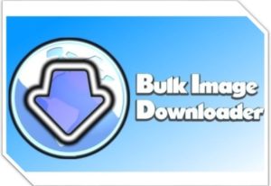 Bulk Image Downloader 6.15.0 Crack + Registration Code [2022]