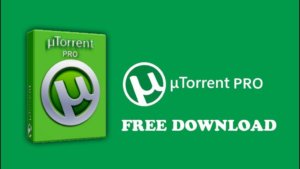 UTorrent Pro 3.6.6 Build 44841 Crack + Activation Key [2022]